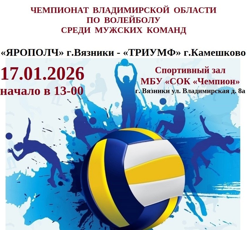 ЧЕМПИОНАТ ВЛАДИМИРСКОЙ ОБЛАСТИ ПО ВОЛЕЙБОЛУ СРЕДИ МУЖСКИХ КОМАНД