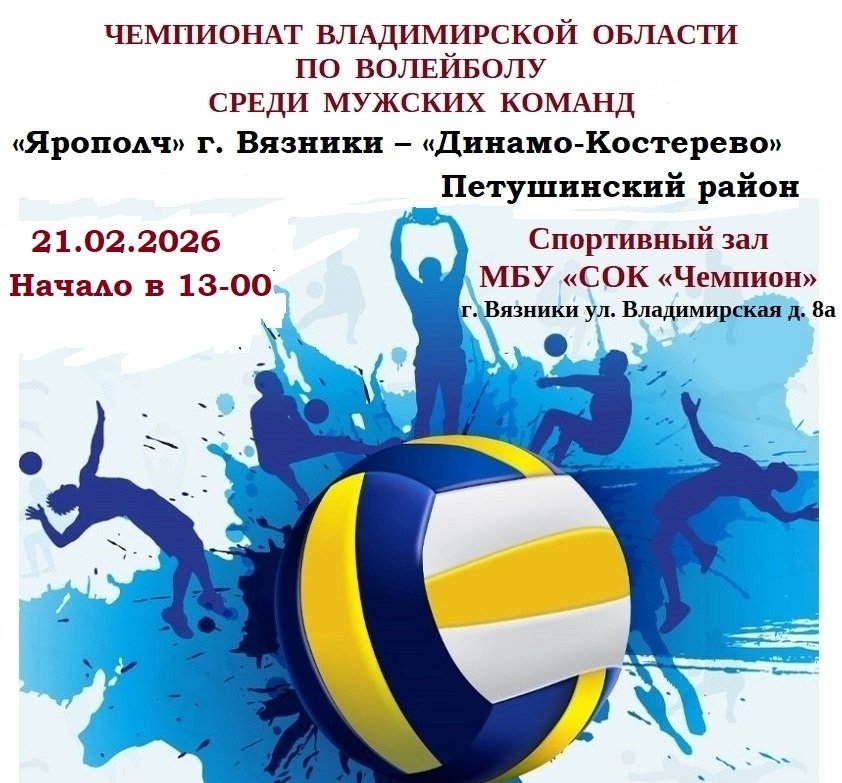  ЧЕМПИОНАТ ВЛАДИМИРСКОЙ ОБЛАСТИ ПО ВОЛЕЙБОЛУ СРЕДИ МУЖСКИХ КОМАНД